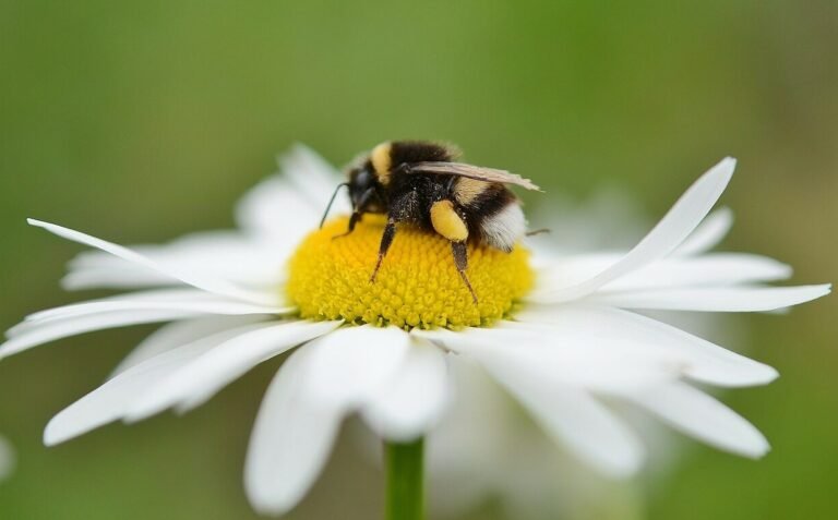 WE MUST LIVE IN AGREEMENT WITH NATURE