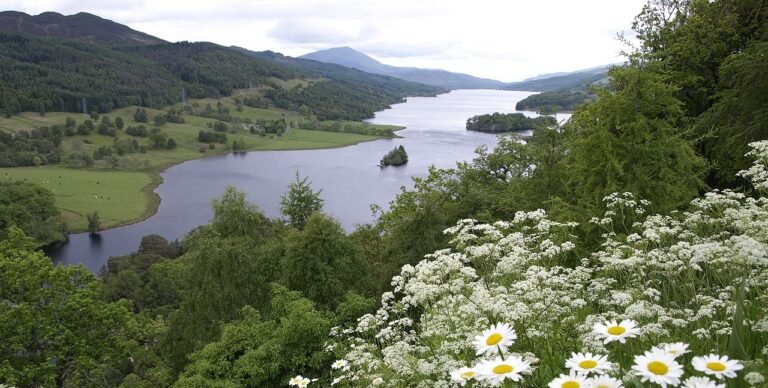 SCOTLAND'S NATURE IS PURE ENCHANTMENT