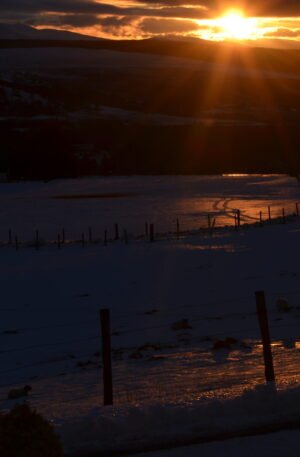 ICED SNOW AT SUNSET