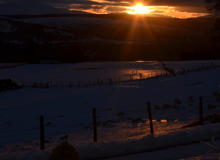 ICED SNOW AT SUNSET