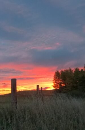 DAWN IN THE HILLS