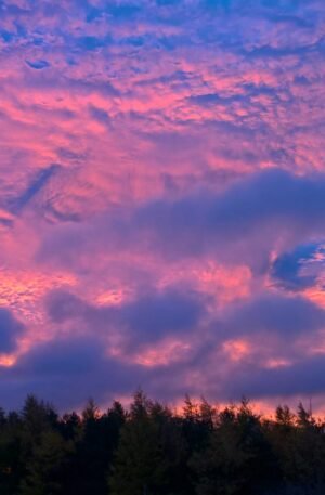 PINK MORNING