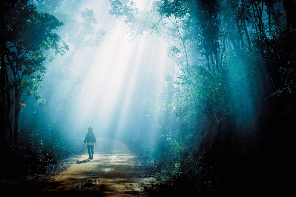 YOUR SOUL WILL REFRESH IN THE WOODS