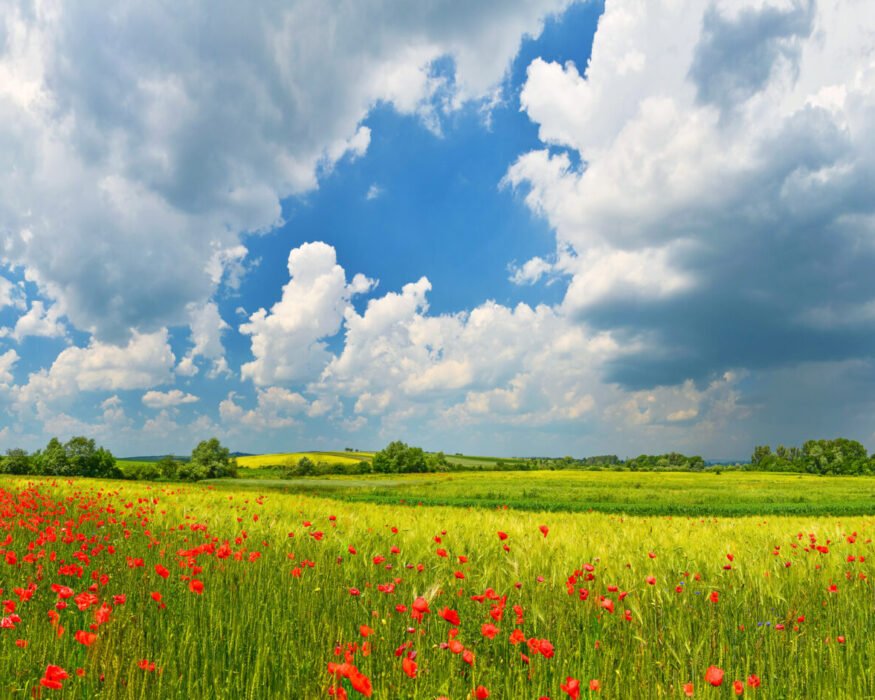 NATURE IS PERFECTION
